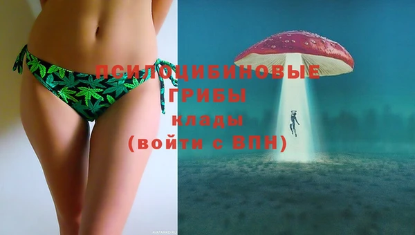 стаф Балахна