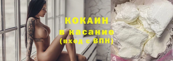 стаф Балахна