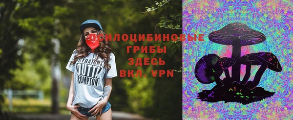 стаф Балахна