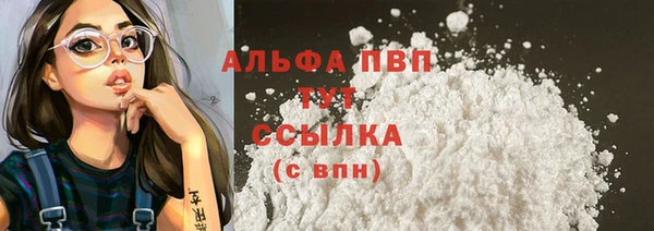 стаф Балахна