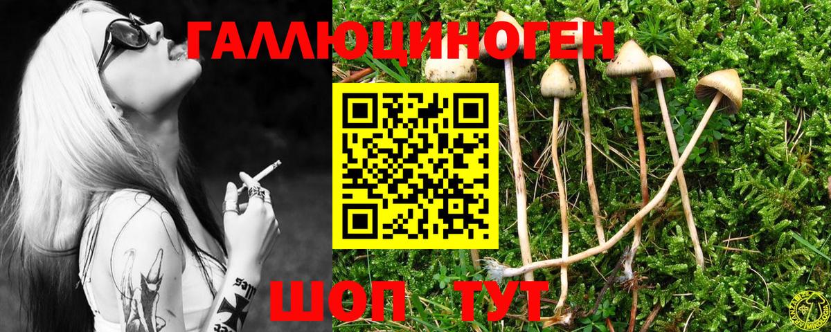 Коммунар  Псилоцибиновые грибы Magic Shrooms  Вход с VPN 
